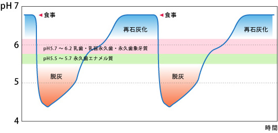 食事とpHの関係